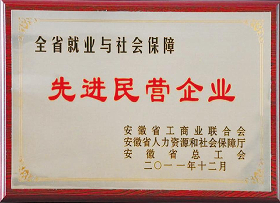 先 進民營企業